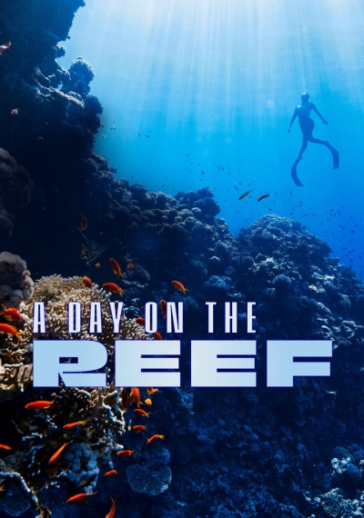 Фильмы онлайн